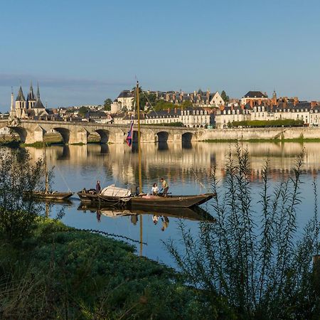 Le Wilson - Vue Imprenable Sur La Loire Et Le Chateau De Blois Luaran gambar