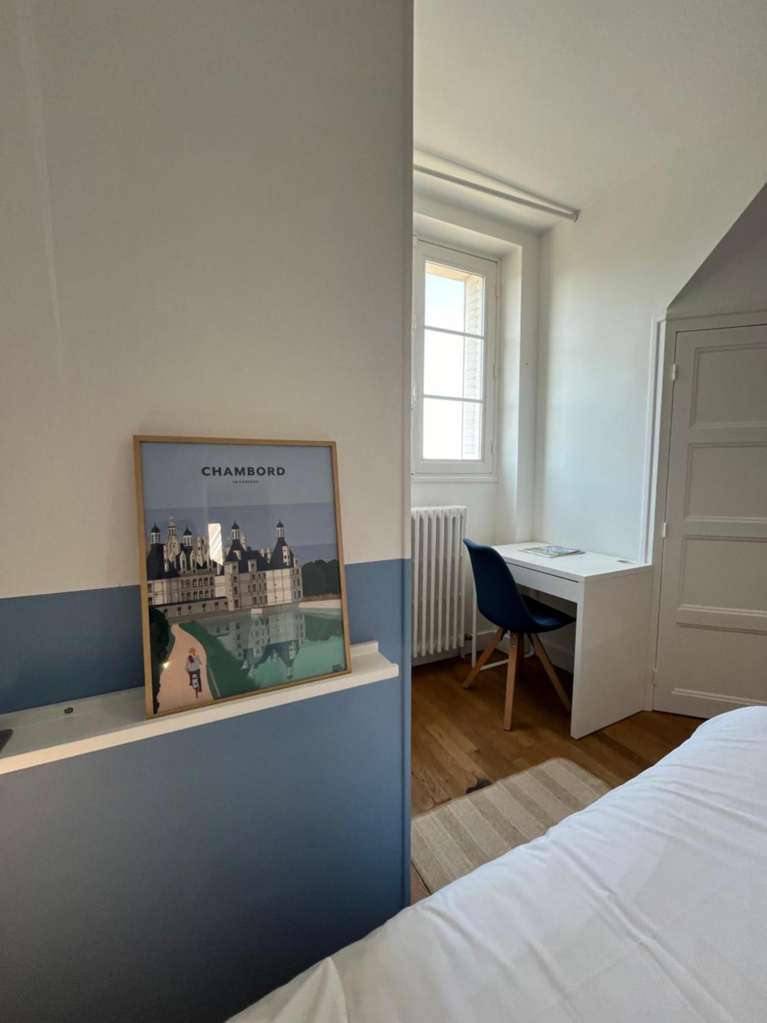 Le Wilson - Vue Imprenable Sur La Loire Et Le Chateau De Blois Luaran gambar